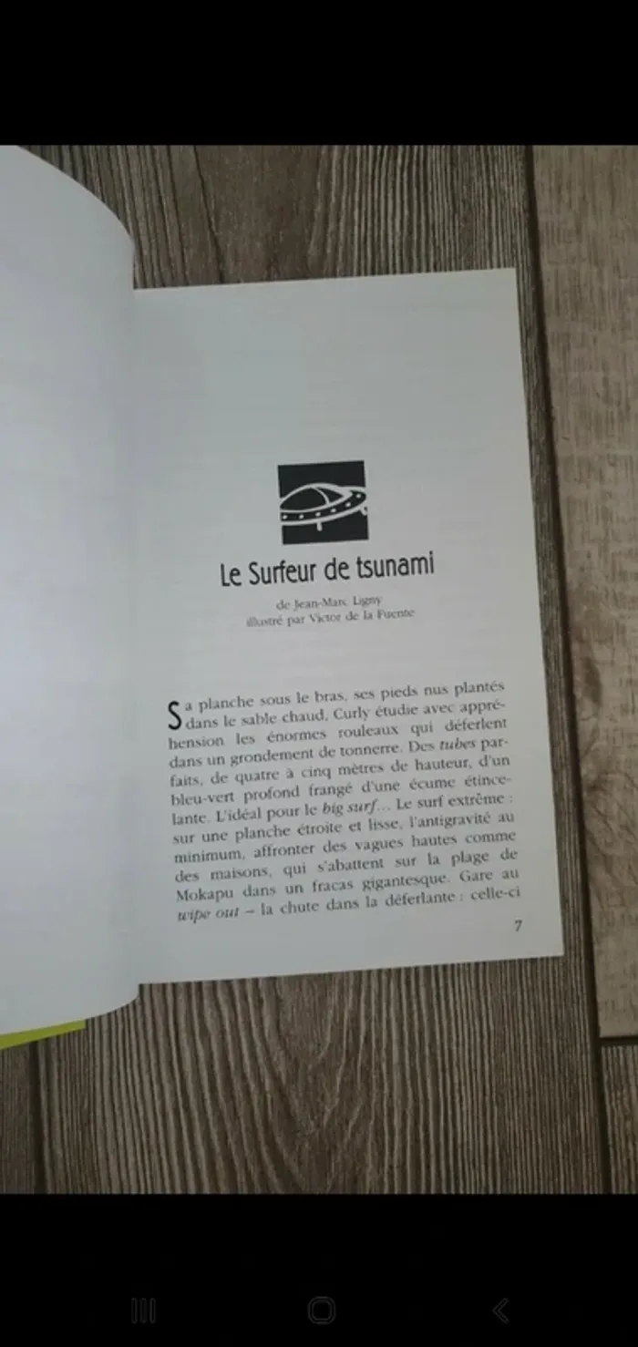 Livre de 6 histoires de sports de mer - le surfeur du Tsunami - photo numéro 5