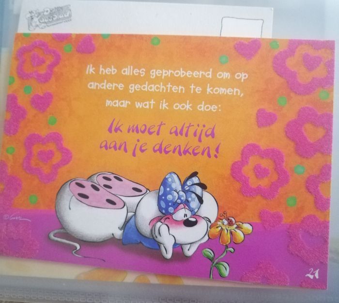 Lot carte diddl - photo numéro 8