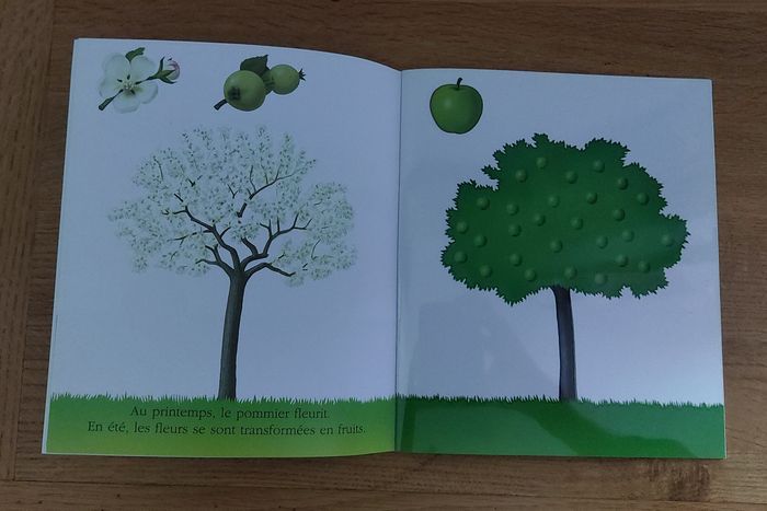 Cache cache avec Les fruits du jardin - photo numéro 2