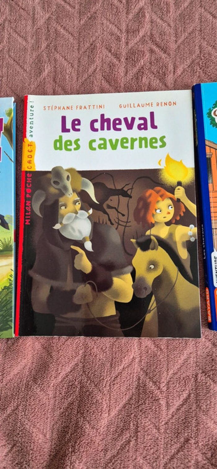 Lot livres chevaux - photo numéro 3
