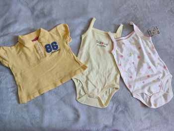 Lot bodies et un polo 18 mois