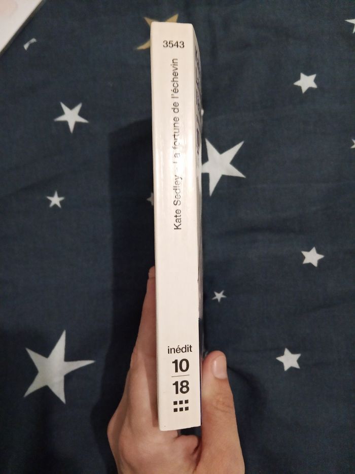Livre (61) 📚 La fortune de l'echevin - photo numéro 3