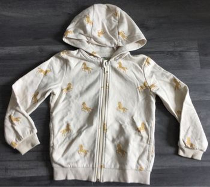 Veste - photo numéro 1