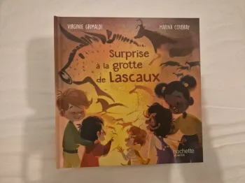 Livre collection "Merveilles de France" (Mc Do)