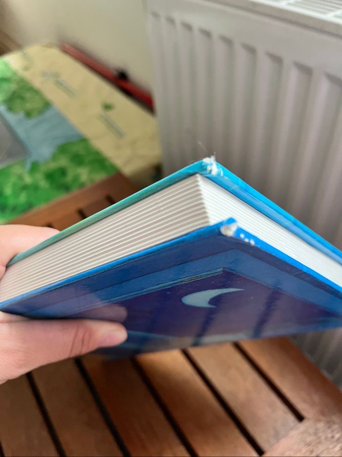 Livre Disney - photo numéro 3