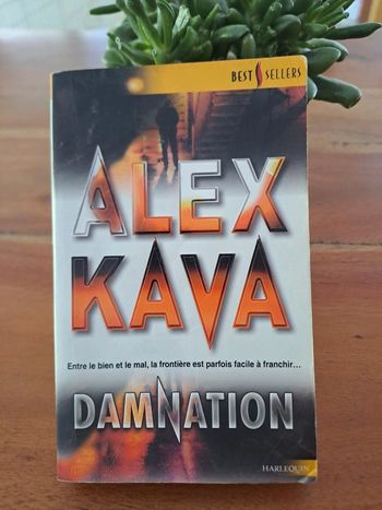Livre Damnation, Alex Kava