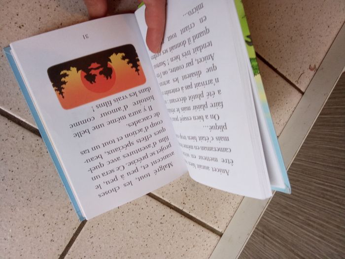 Livre bibliothèque rose mini- loup fait du cinéma - photo numéro 3