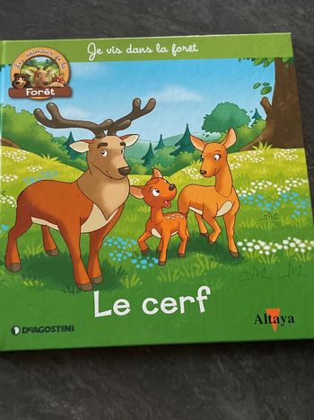 Livre jeunesse je vis dans la forêt le cerf