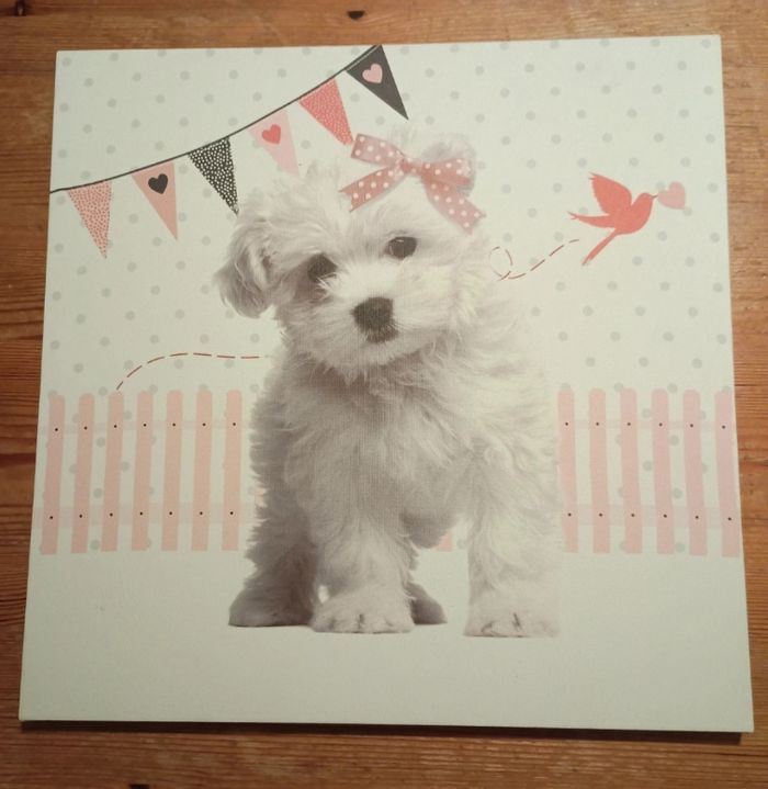 Tableau sur toile avec chiot 38*38 cm - photo numéro 1
