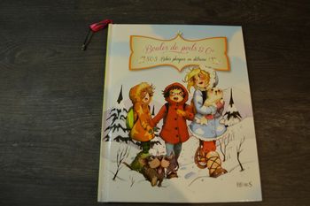 Livre Boules de poils & Cie SOS Bébés phoques en détresse  Fleurus