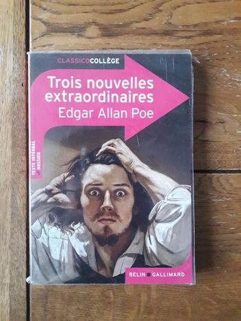 Trois nouvelles extraordinaires - Edgar Allan Poe