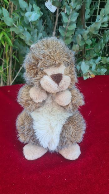 Peluche doudou Marmotte De la Marque "Nounours"