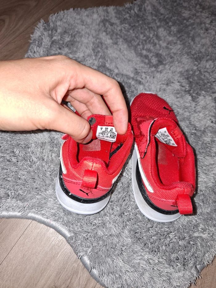 Puma taille 24 - photo numéro 6
