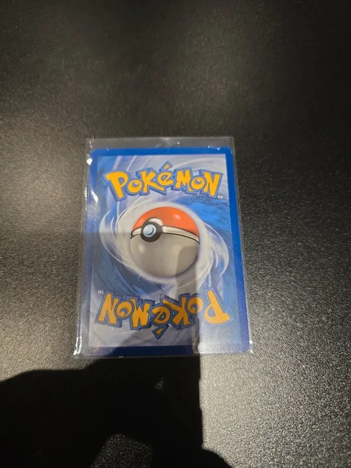 Garde de fer EX 225/182 - photo numéro 2