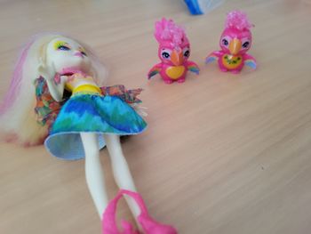 Famille perroquet
