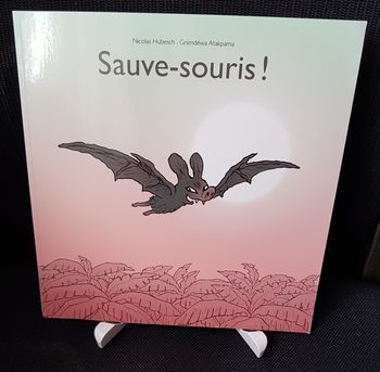 Sauve-souris ! - Nicolas Hubesch - Gnimdéwa Atakpama - Ecole des loisirs