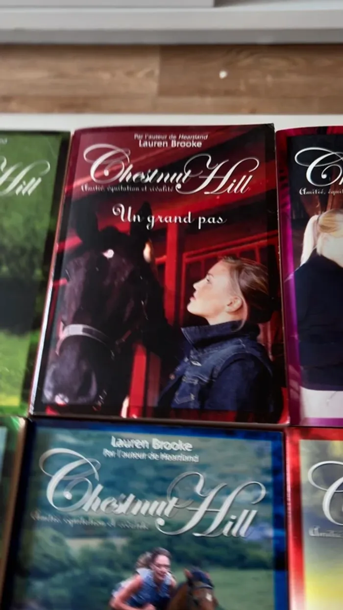 📚 Lot complet – Chestnut Hill – Tomes 1 à 9 – Lauren Brooke - photo numéro 9