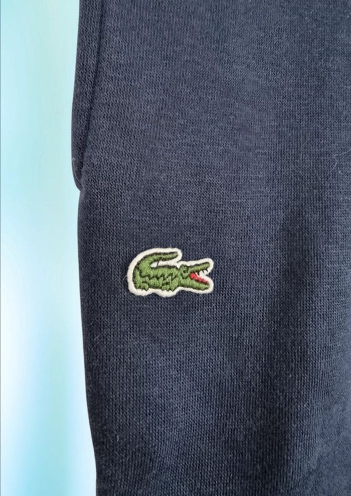 Lacoste pantalon de survetement molleton * taille 12 ans * - photo numéro 3