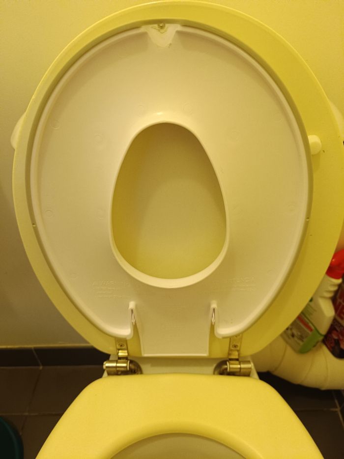 Adaptateur wc enfant - photo numéro 5
