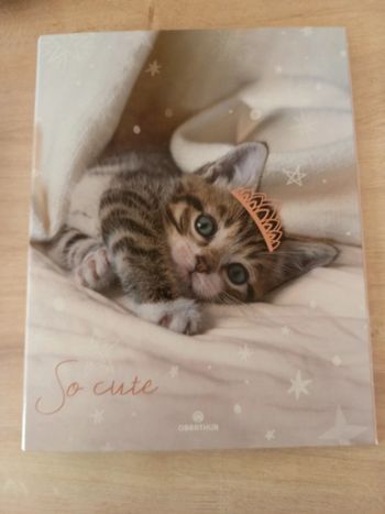Classeur chat