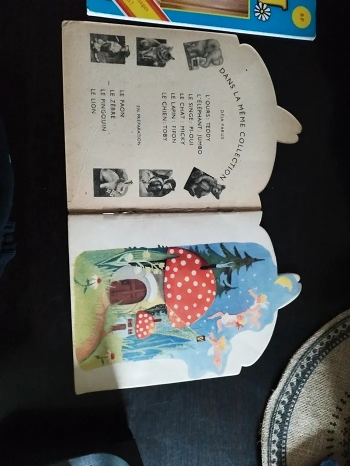 Livre fifon - photo numéro 5