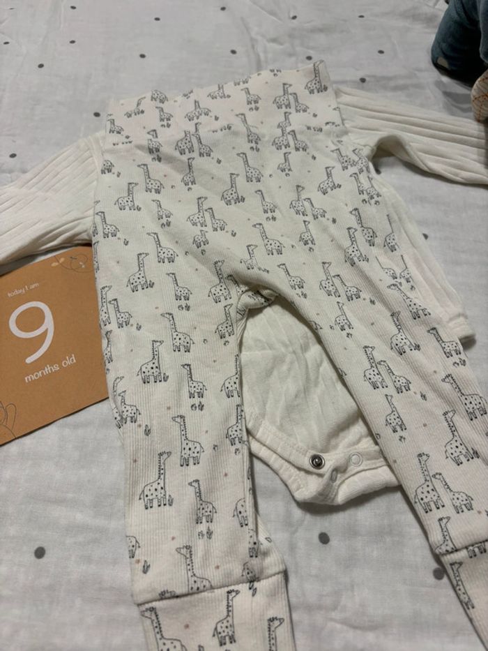 Ensemble - photo numéro 3