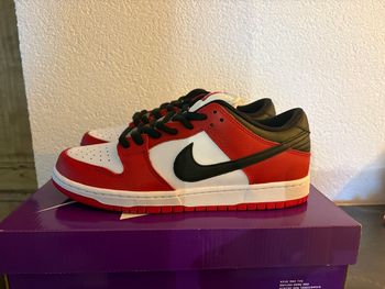 Nike dunk Sb Chicago 