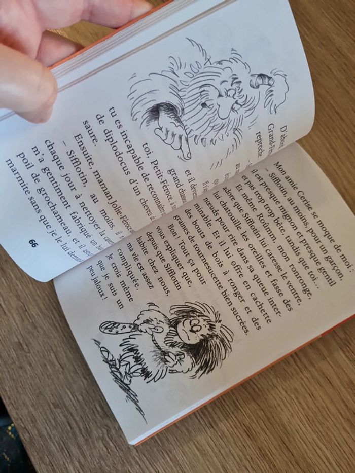 Livre Petit Féroce n'a peur de rien - photo numéro 4