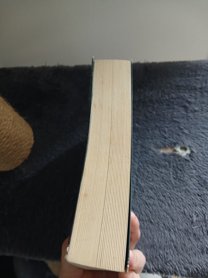 Livre - photo numéro 3