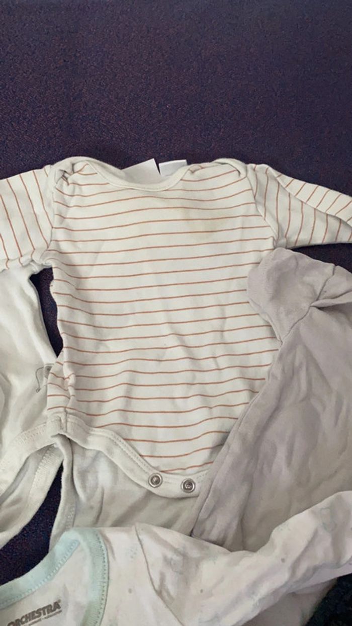 bodies - photo numéro 4