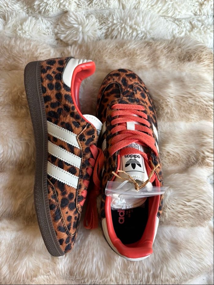 Samba adidas og léopard