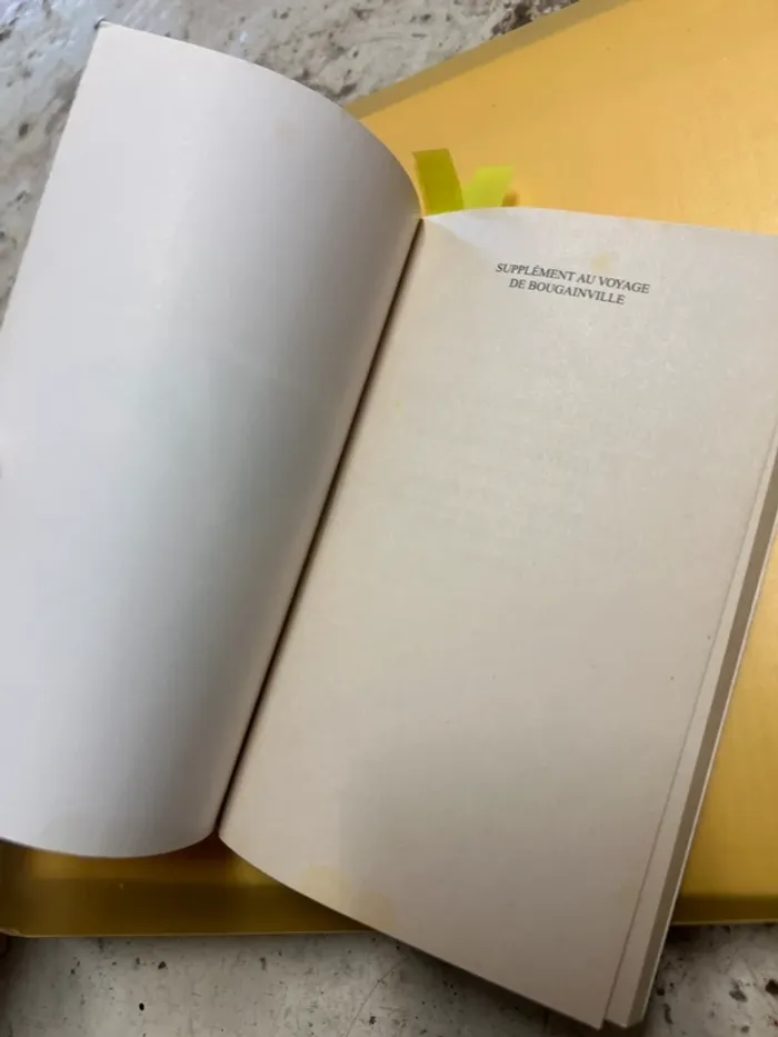 Diderot - photo numéro 4