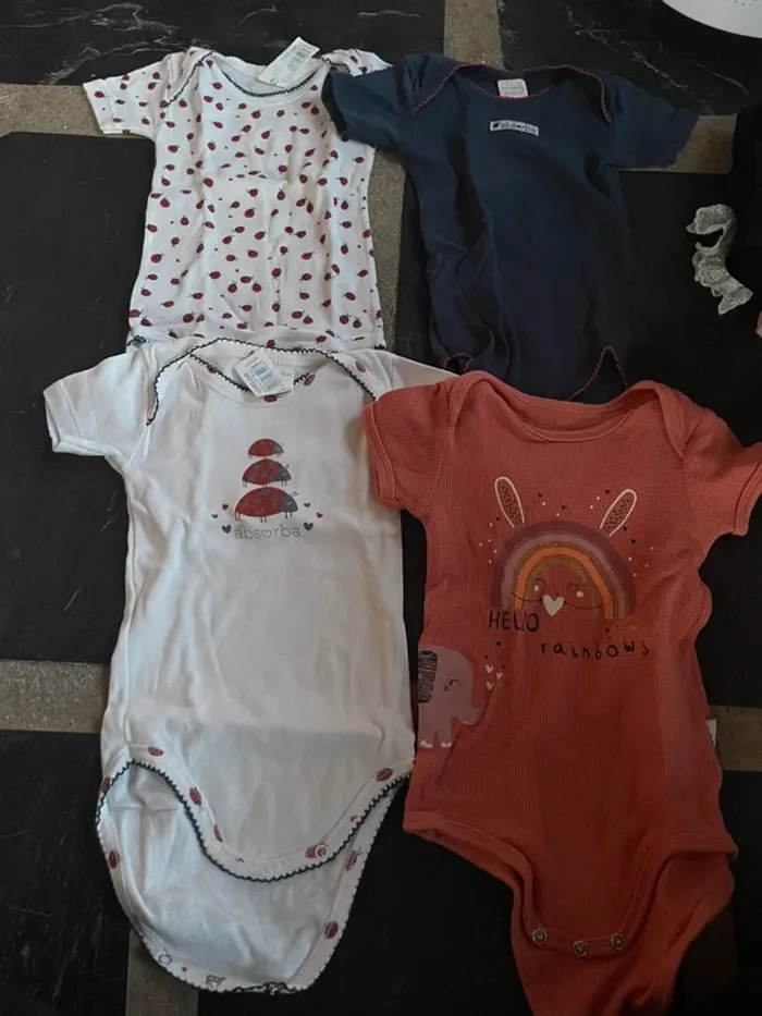 Lot 4 bodies manches courte 12 mois