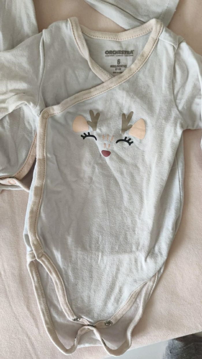 Lot de bodies 6mois - photo numéro 3