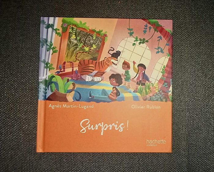 Livre macdo surpris 'euf