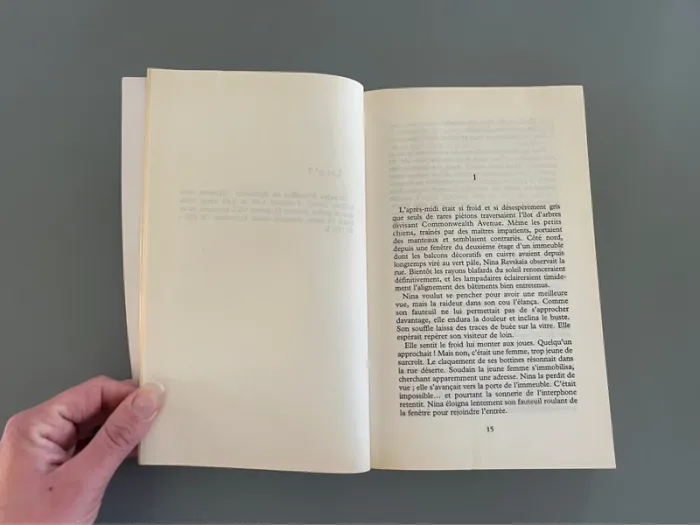Livre type Roman un papillon sous la neige par Daphne Kalotay - photo numéro 4