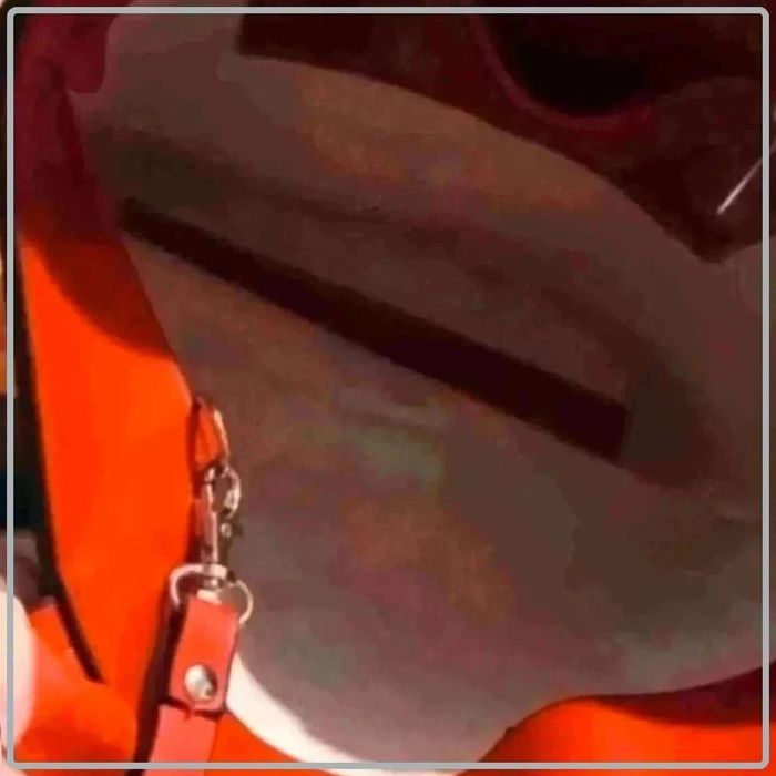 Grand  sac  a  main  avec  un  autre  sac  dedans - photo numéro 5