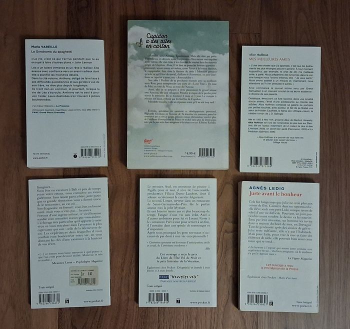 Lot 6 romans Marie Vareille, Raphaëlle Giordano, Laurent Gounelle, Alice Hoffman et Agnès Ledig - photo numéro 2