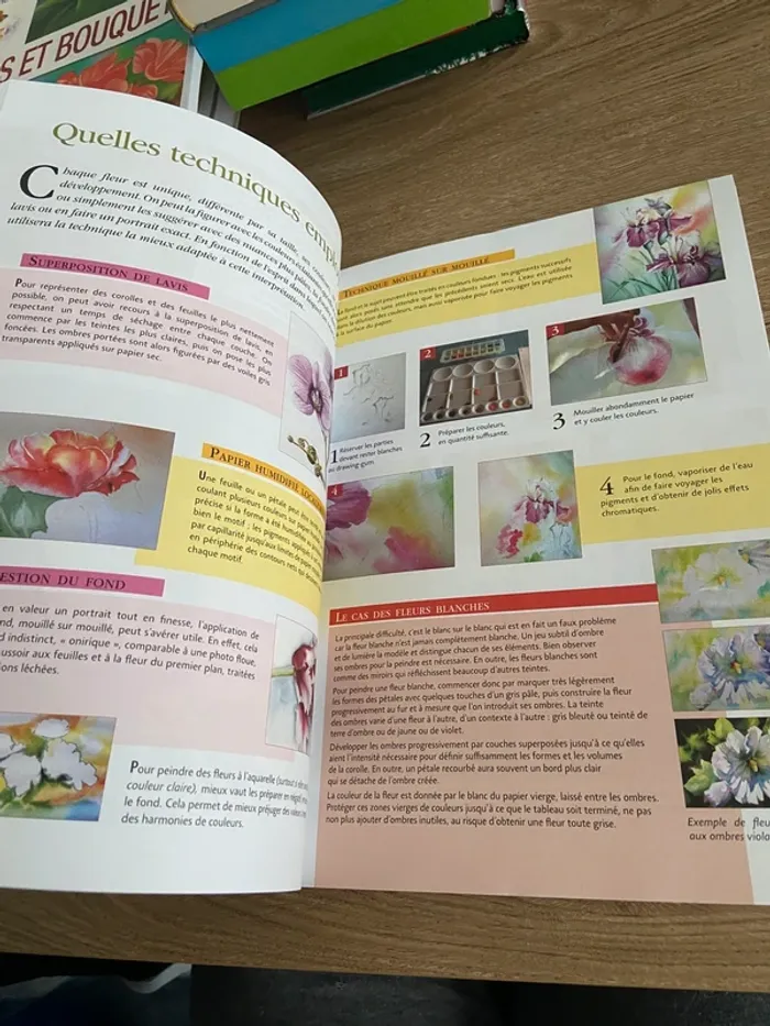 Livre les dossiers de l’aquarelle belles fleurs - photo numéro 3