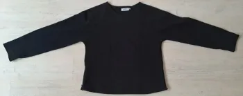 Pull polaire