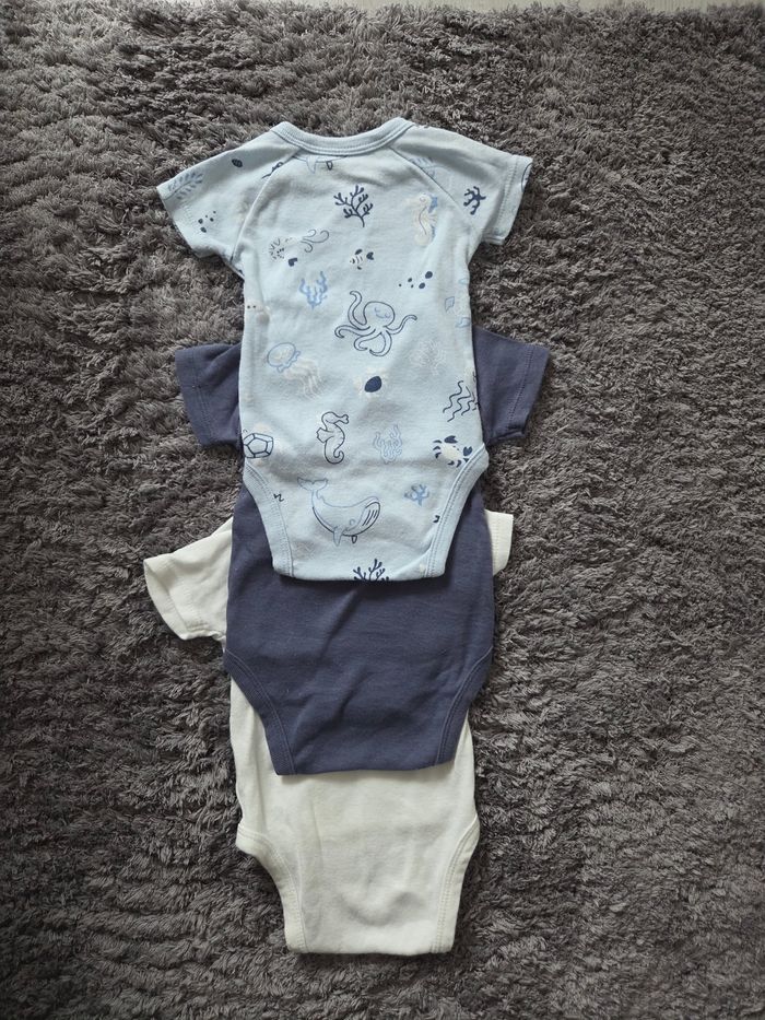 Lot de 3 bodies à manches courtes - photo numéro 2