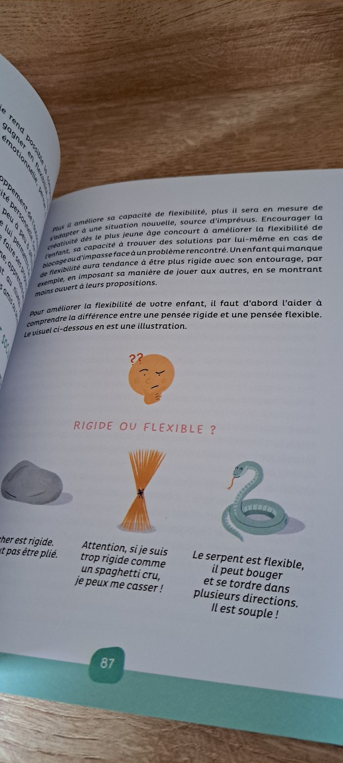 Livre - photo numéro 3