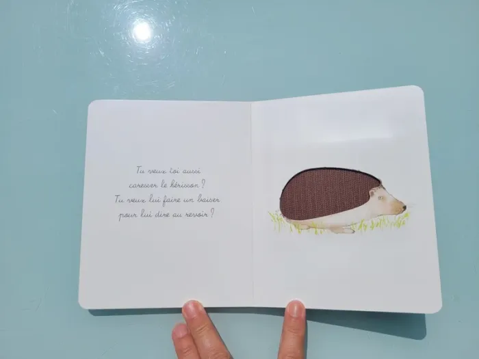 Coffret 3 livres tout carton Montessori 🐈 Bébé Balthazar, Ma première bibliothèque Montessori - photo numéro 9