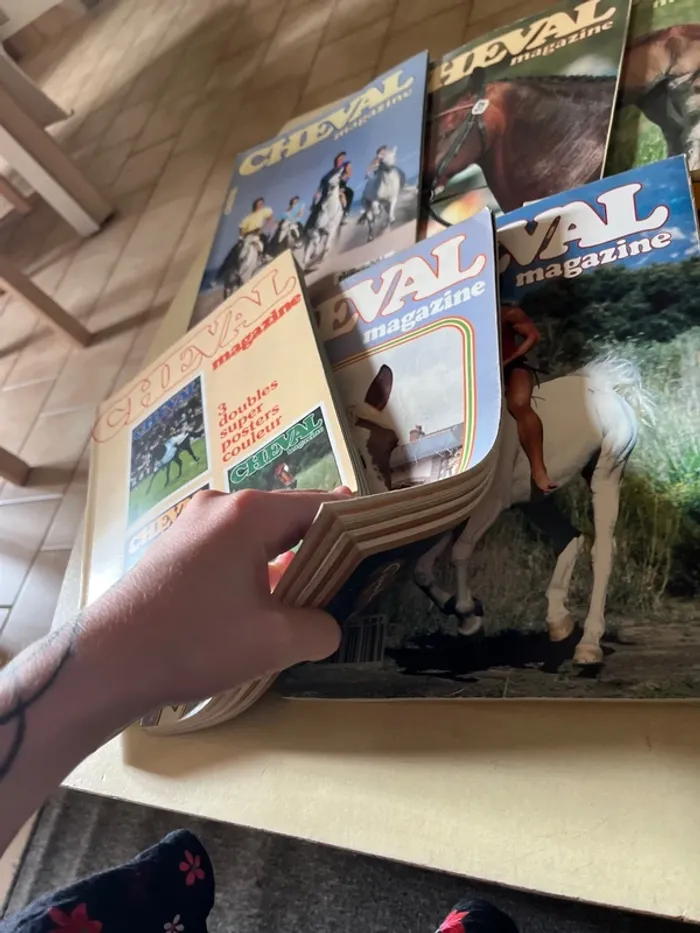 Lot de 10 anciens magazines sur les chevaux - photo numéro 6