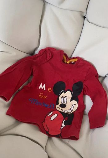 Tee shirt longues manches 9 mois