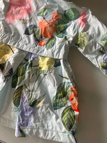 Parka Ted Baker