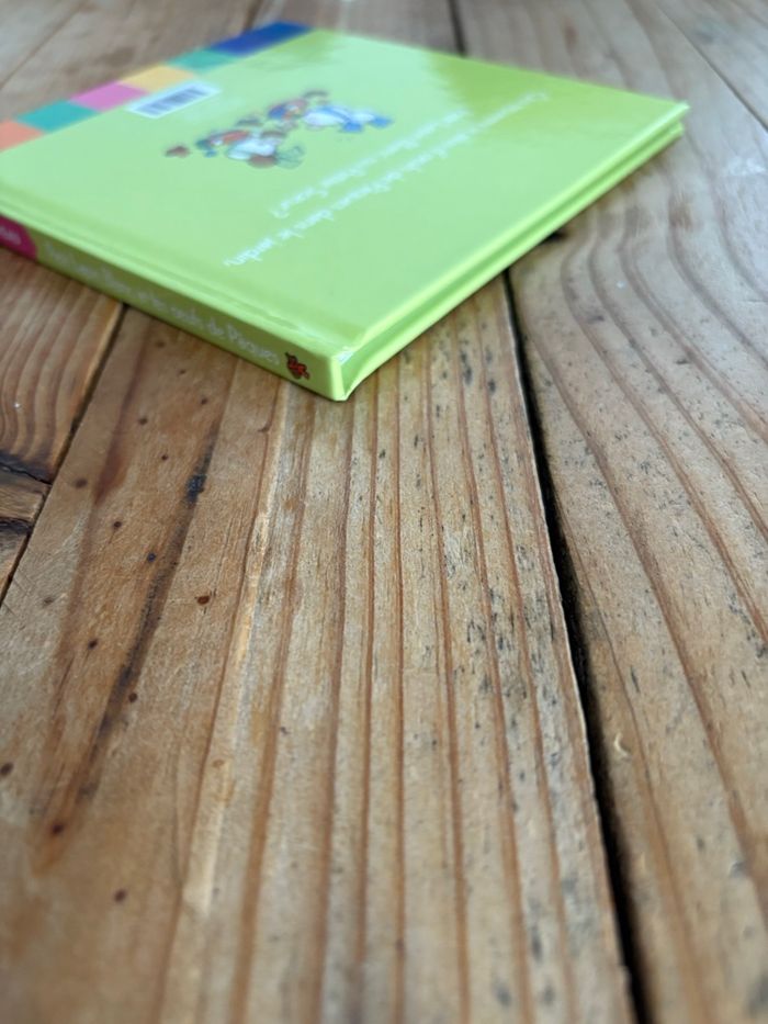 Petit lapin blanc et les œufs de Pâques - photo numéro 4