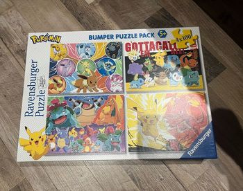 Puzzle Pokémon 4x100