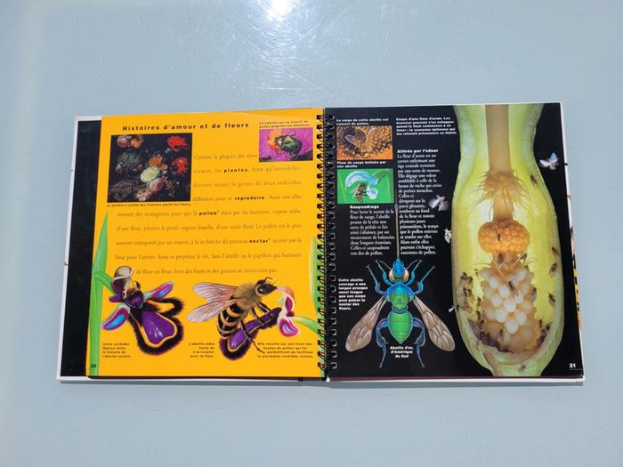 🦗 Mille Milliards d'insectes 🪳livre animé Gallimard Jeunesse (73) - photo numéro 12