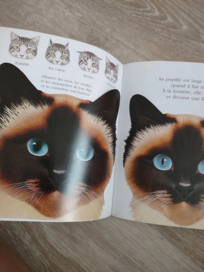 Mes livres magiques Cache cache avec les chats et les félins - photo numéro 3